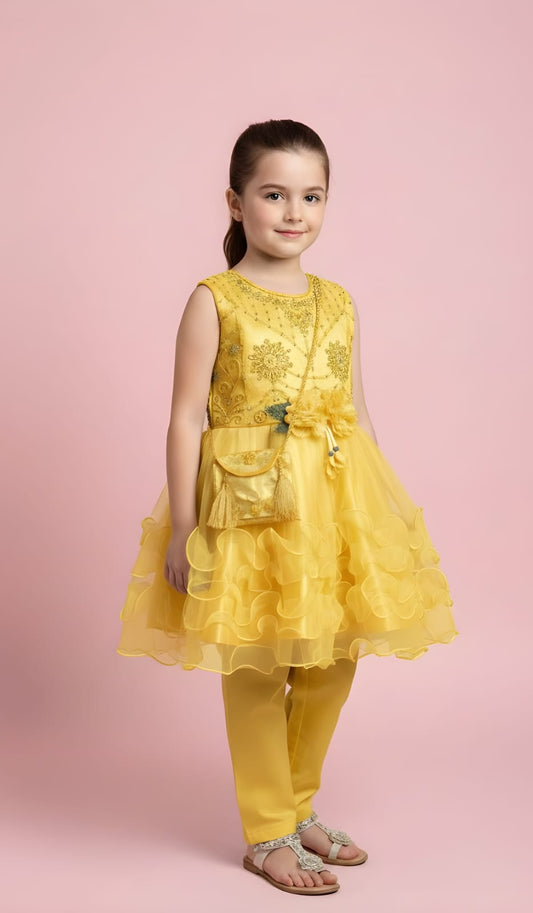 Fancy net and kattan silk frock Article GM04